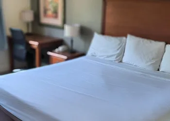 Baymont By Wyndham Gainesville I-75 hotel thumbnail 8