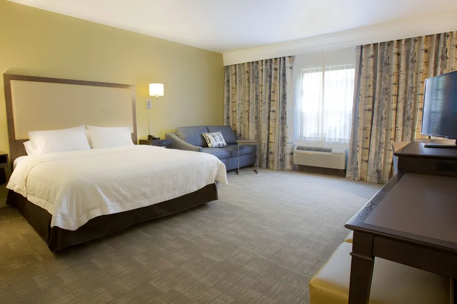 Hampton Inn & Suites Boise/Nampa at the Idaho Center hotel detail image 6