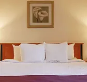 Hotel St-Denis hotel detail image 7