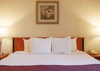 Hotel St-Denis hotel thumbnail 7