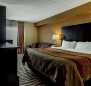 Quality Inn hotel detail image 7
