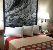 Super 8 by Wyndham Las Cruces/White Sands Area hotel detail image 3