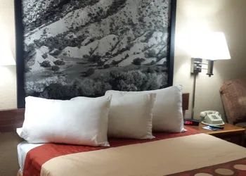 Super 8 by Wyndham Las Cruces/White Sands Area hotel thumbnail 3