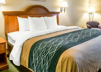 Comfort Inn & Suites Las Cruces Mesilla hotel thumbnail 6