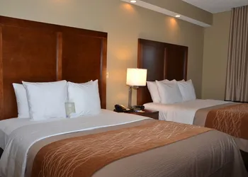 Comfort Inn West Monroe near Sports & Events Center hotel thumbnail 8