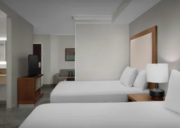 SpringHill Suites by Marriott Lynchburg Airport/University Area hotel thumbnail 8