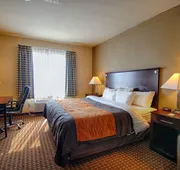 Comfort Inn & Suites Near Lake Lewisville hotel detail image 7