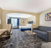 Best Western Plus Lewisville Flower Mound hotel detail image 7