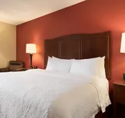 Hampton Inn Battle Creek hotel detail image 4