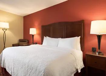 Hampton Inn Battle Creek hotel thumbnail 4