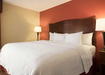 Hampton Inn Battle Creek hotel thumbnail 8
