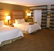 Hampton Inn & Suites Kalamazoo - Oshtemo hotel detail image 5