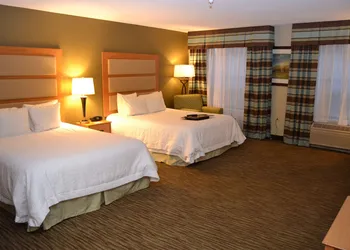 Hampton Inn & Suites Kalamazoo - Oshtemo hotel thumbnail 5