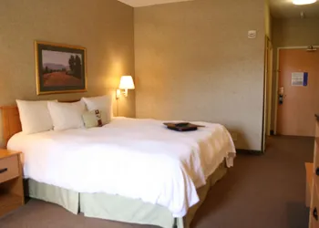Hampton Inn & Suites Kalamazoo - Oshtemo hotel thumbnail 8