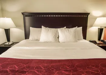 Comfort Suites Bloomington I-55 and I-74 hotel thumbnail 8