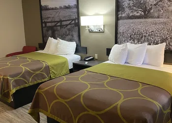 Super 8 by Wyndham Terrell hotel thumbnail 4