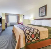 Super 8 by Wyndham Burleson Fort Worth Area hotel detail image 4