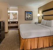 Best Western Inn & Suites of Macon hotel detail image 4