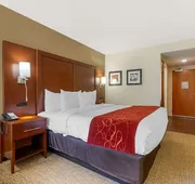 Comfort Inn & Suites Macon West hotel detail image 7