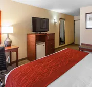 Comfort Inn & Suites Near Fallon Naval Air Station hotel detail image 7