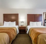 Comfort Inn Elko hotel detail image 7