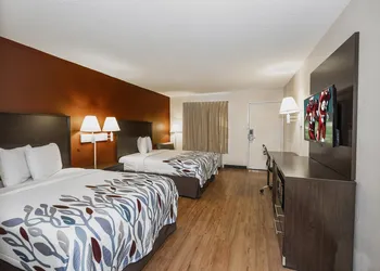 Red Roof Inn Walterboro hotel thumbnail 8