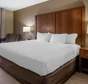 Comfort Inn Moline - Quad Cities hotel detail image 5