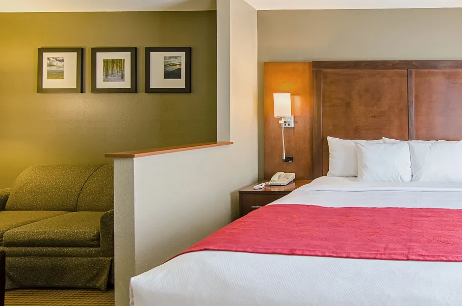 Comfort Suites Wytheville near Conference Center hotel detail image 6