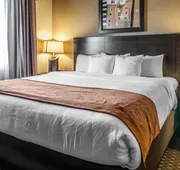 Comfort Suites Hobbs hotel detail image 4