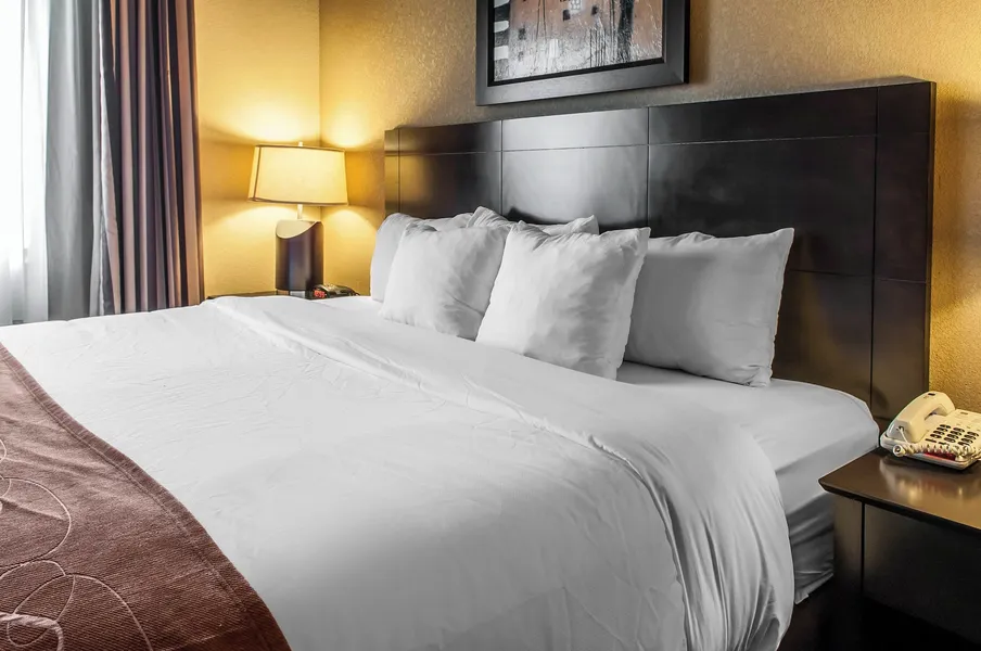 Comfort Suites Hobbs hotel detail image 6