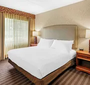 Best Western Springfield Hotel hotel detail image 7