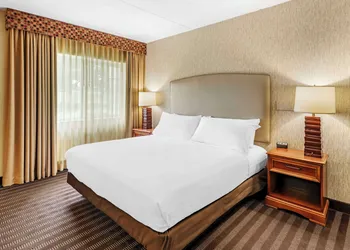 Best Western Springfield Hotel hotel thumbnail 7
