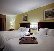 Hampton Inn Carrollton hotel detail image 7