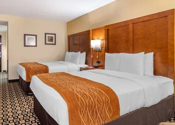 Comfort Inn & Suites Athens North hotel thumbnail 8