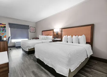 Hampton Inn Seguin hotel thumbnail 8