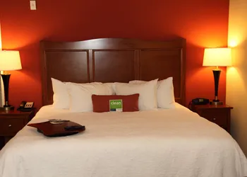 Hampton Inn & Suites Bastrop hotel thumbnail 8