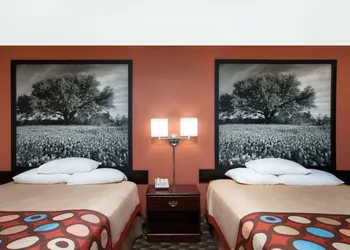 Super 8 by Wyndham Bastrop TX hotel thumbnail 6