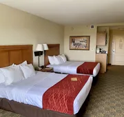 Comfort Inn & Suites Tifton hotel detail image 4