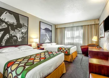 Super 8 by Wyndham Duncan hotel thumbnail 6