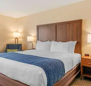 Comfort Inn & Suites near Route 66 hotel detail image 5