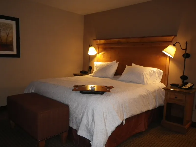 Hampton Inn & Suites Buffalo hotel detail image 6