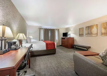 SureStay Plus Hotel by Best Western Buffalo hotel thumbnail 7