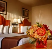 Best Western Plus Graham Inn hotel detail image 5