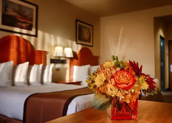 Best Western Plus Graham Inn hotel thumbnail 5