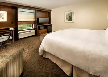 Hampton Inn Pampa hotel thumbnail 7