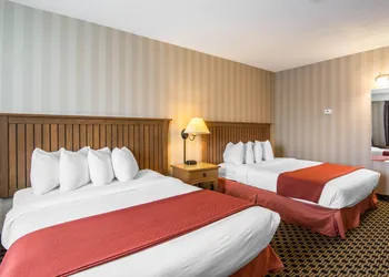 Quality Hotel hotel thumbnail 5