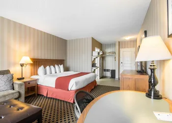 Quality Hotel hotel thumbnail 8