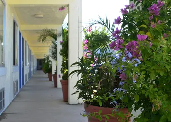 Americas Best Value Inn Bradenton Sarasota hotel thumbnail 6