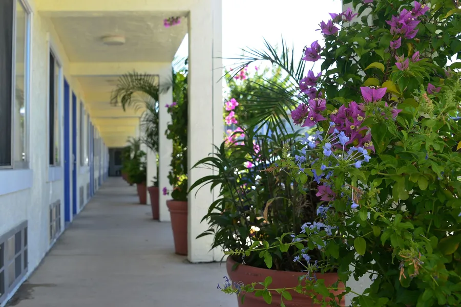 Americas Best Value Inn Bradenton Sarasota hotel detail image 6