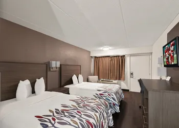 Red Roof Inn Binghamton - Johnson City hotel thumbnail 8